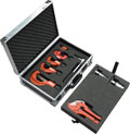 Presentation suitcase for "Logo Tools"